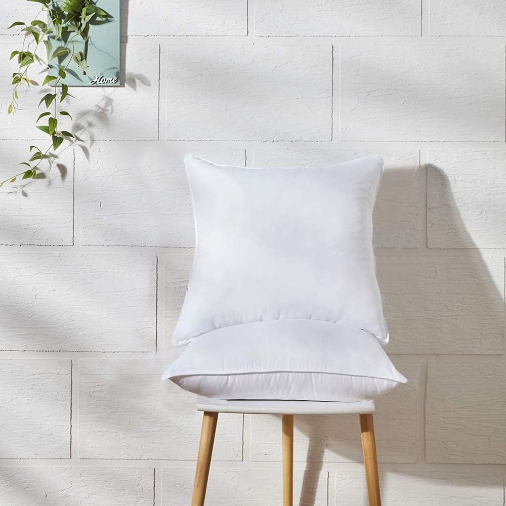 White Throw Pillow Inserts